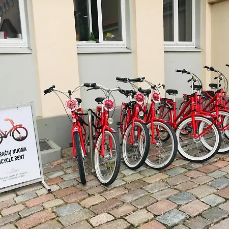 Center Loft Apartmán Kaunas