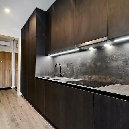 Apartman Center Loft Kaunas