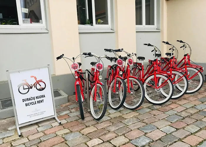 Center Loft Apartment Kaunas